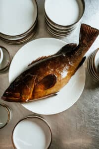 cernia-pesce-di-amo-follis-fiumicino